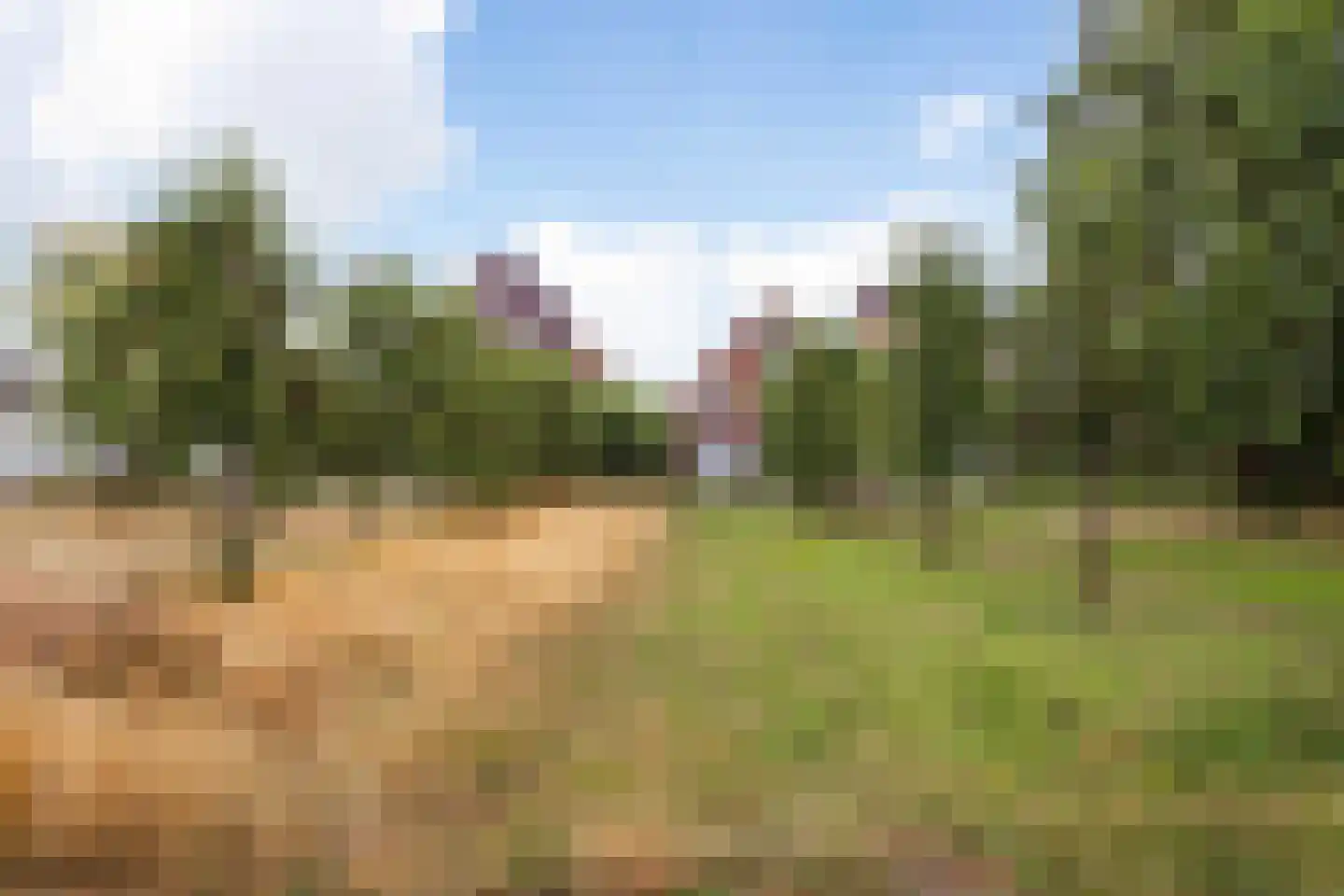 Veilingpark 5 Wijk bij Duurstede thumbnail 4