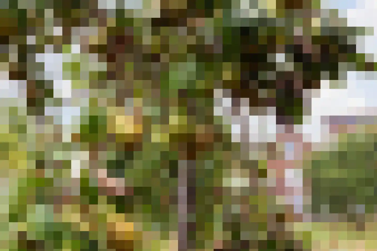 Veilingpark 5 Wijk bij Duurstede thumbnail 42