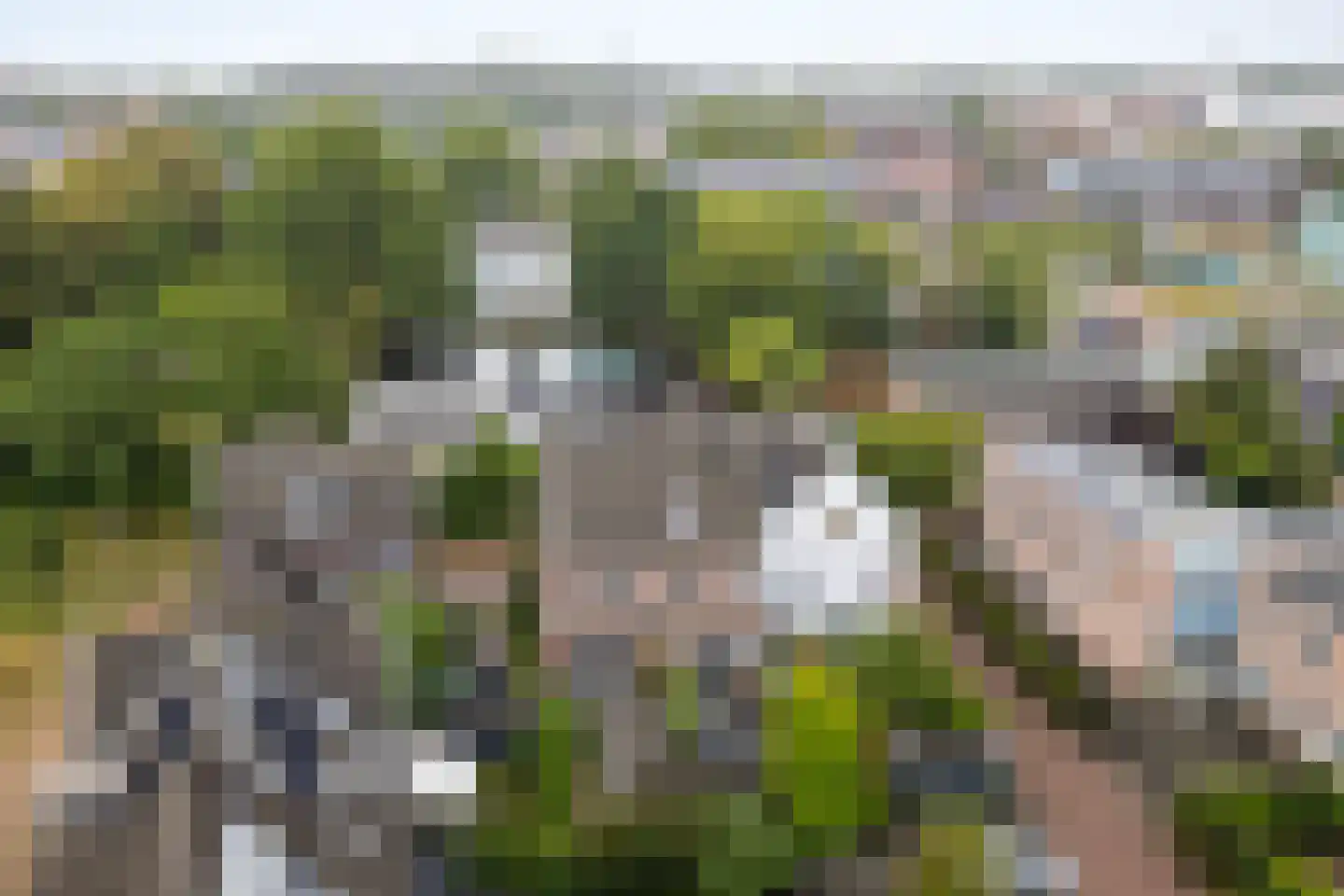 Veilingpark 5 Wijk bij Duurstede thumbnail 47