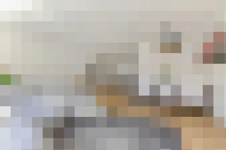 Veilingstraat 10 Pijnacker thumbnail 10