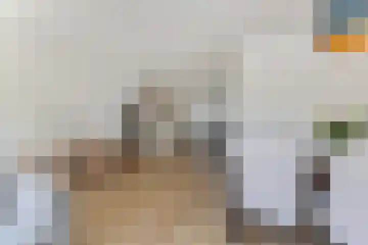 Veilingstraat 10 Pijnacker thumbnail 11