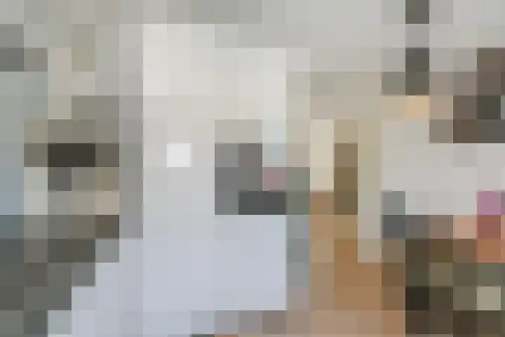 Veilingstraat 10 Pijnacker thumbnail 13