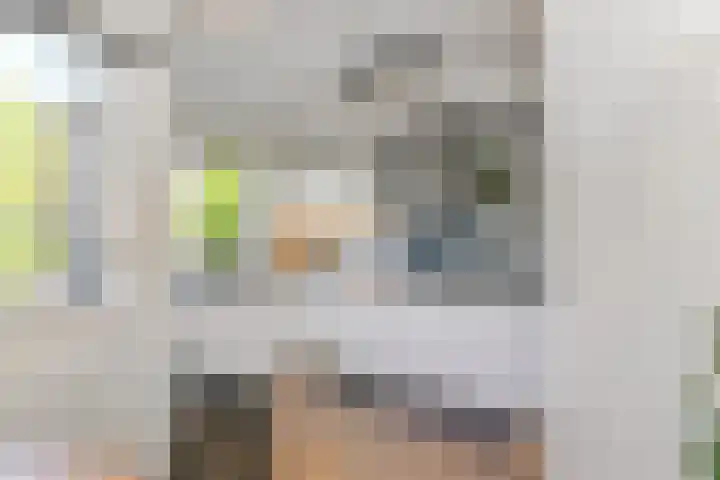Veilingstraat 10 Pijnacker thumbnail 15