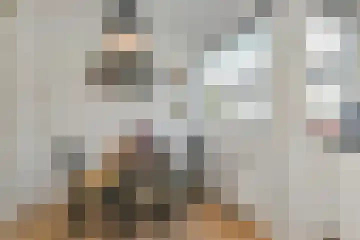 Veilingstraat 10 Pijnacker thumbnail 16