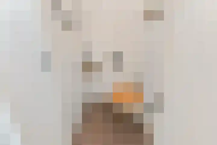 Veilingstraat 10 Pijnacker thumbnail 18