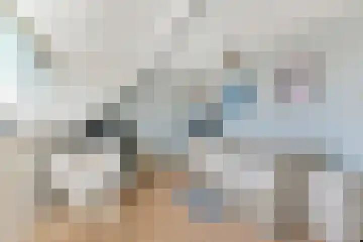 Veilingstraat 10 Pijnacker thumbnail 32