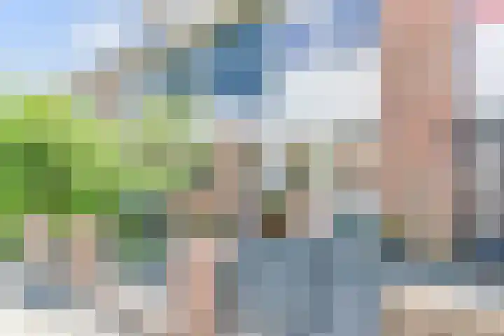 Veilingstraat 10 Pijnacker thumbnail 5