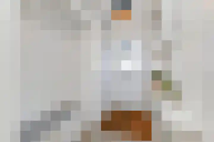 Veilingstraat 10 Pijnacker thumbnail 6
