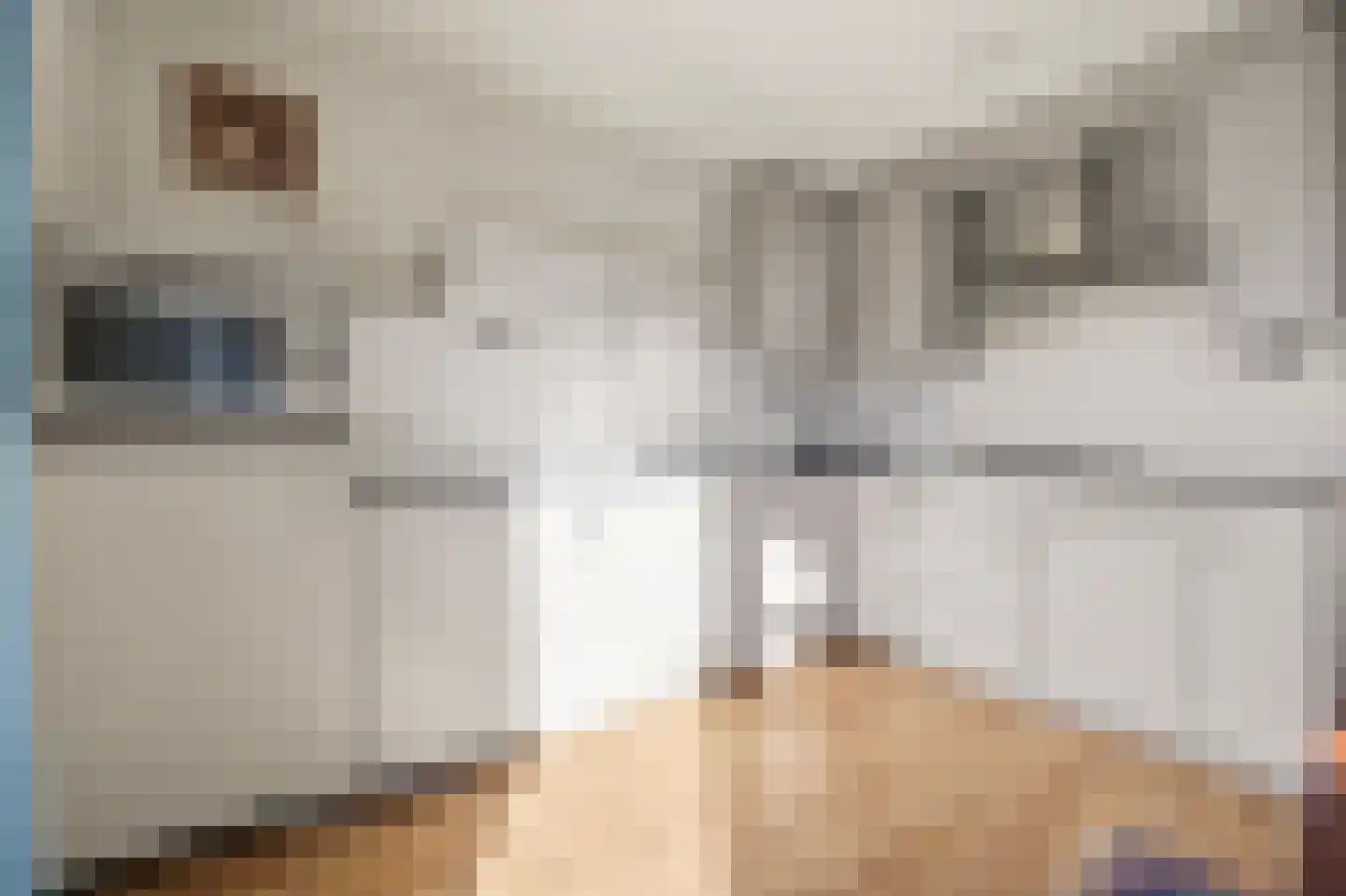 Veilingstraat 10 Zundert thumbnail 12