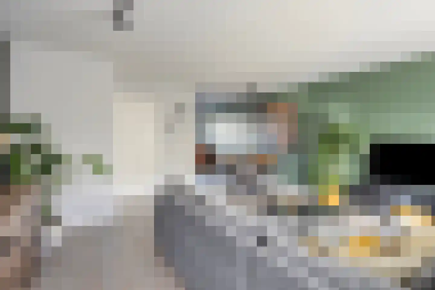 Veilingstraat 112 Uden thumbnail 14