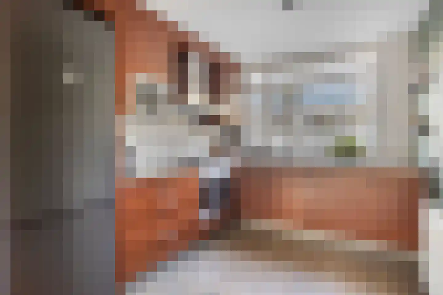 Veilingstraat 112 Uden thumbnail 18