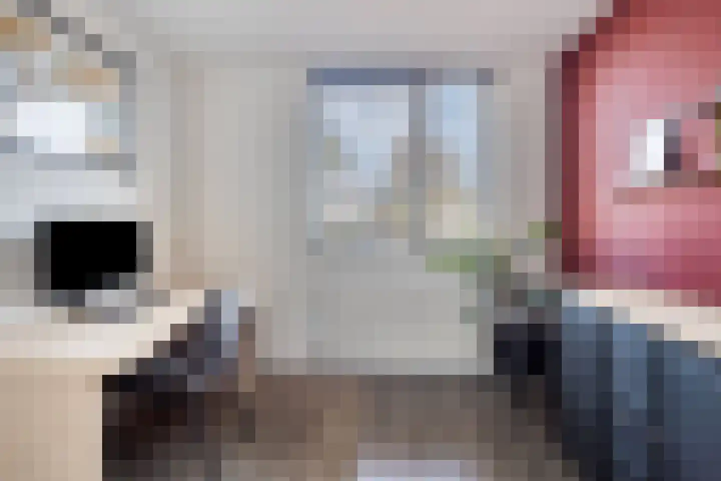 Veilingstraat 112 Uden thumbnail 26