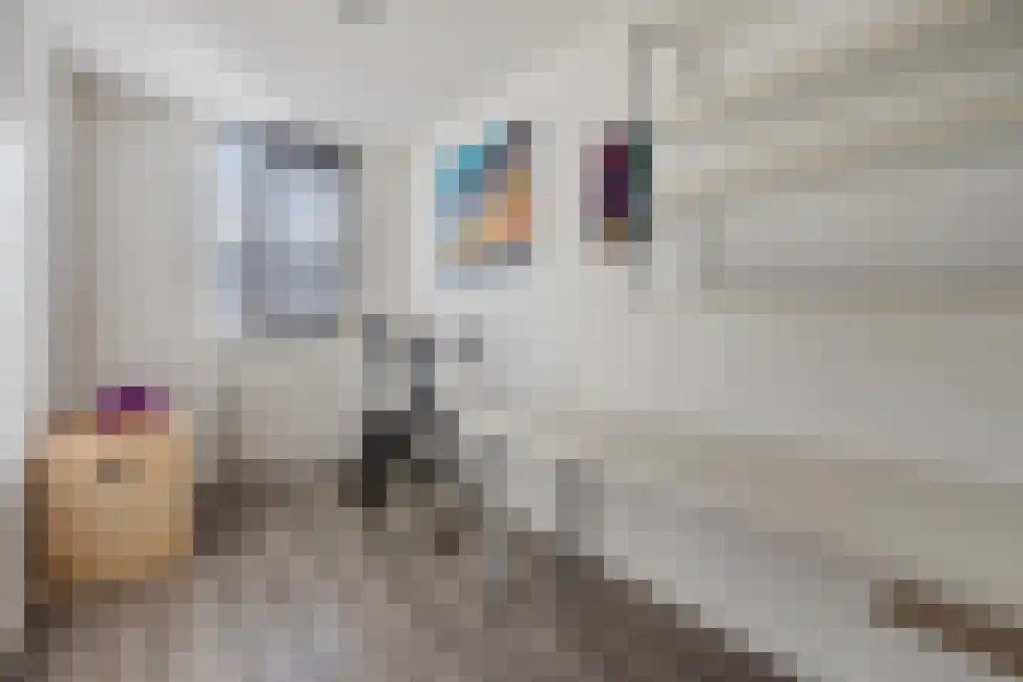 Veilingstraat 112 Uden thumbnail 27
