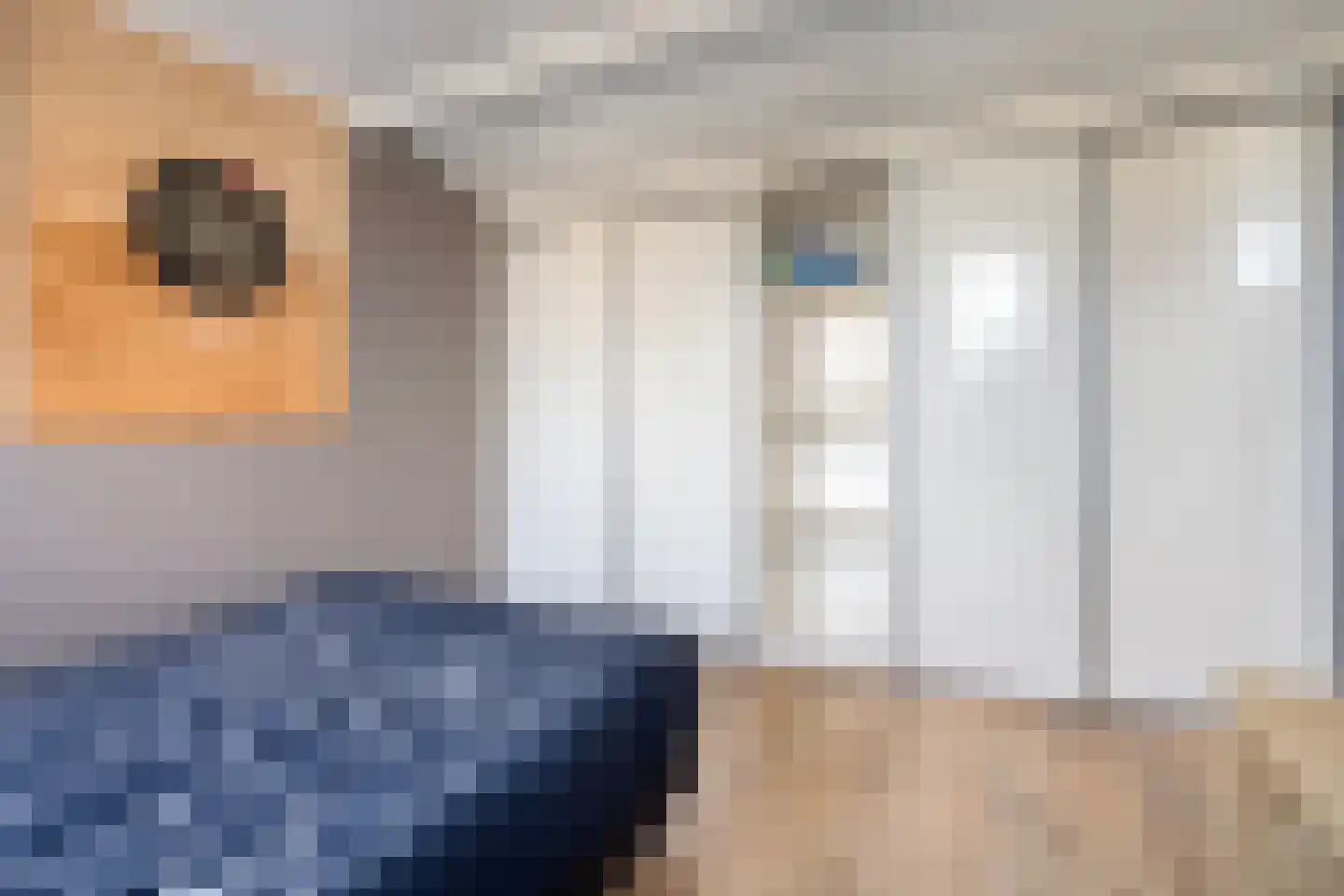 Veilingstraat 112 Uden thumbnail 31
