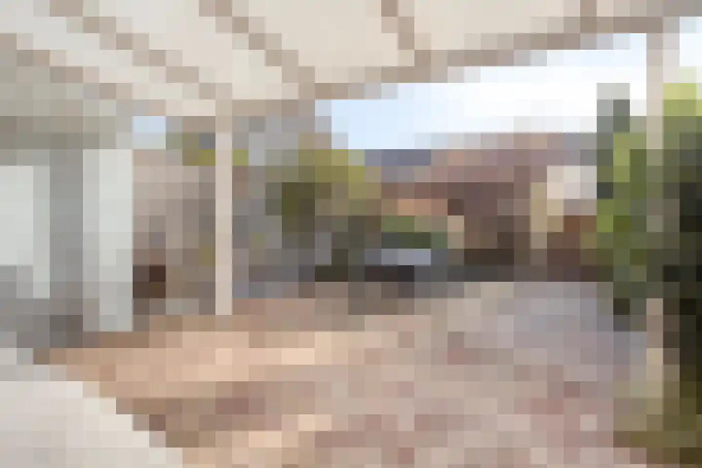 Veilingstraat 112 Uden thumbnail 4