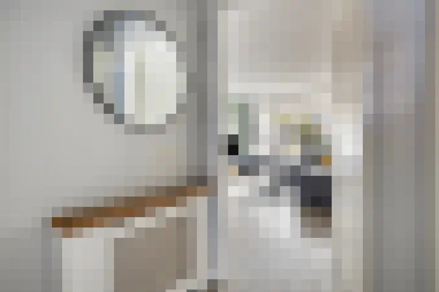 Veilingstraat 112 Uden thumbnail 8