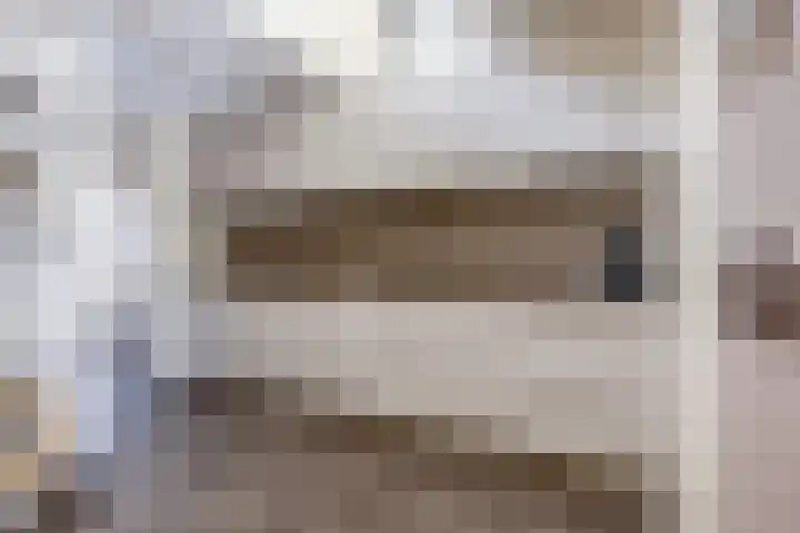 Veilingstraat 169 Uden thumbnail 11