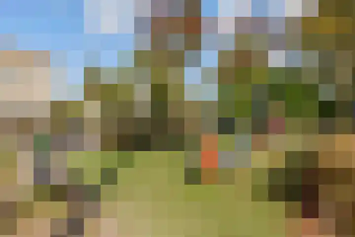 Veilingstraat 169 Uden thumbnail 30