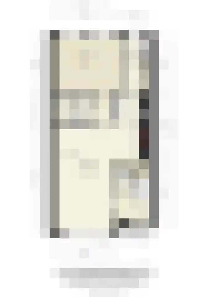 Veilingstraat 169 Uden thumbnail 32