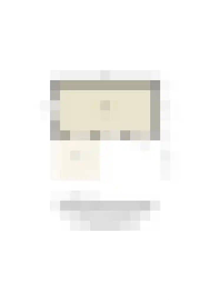 Veilingstraat 169 Uden thumbnail 33