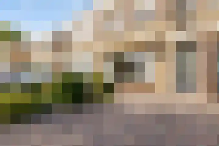Veilingstraat 169 Uden thumbnail 5