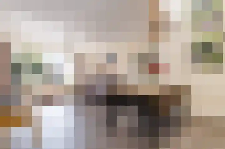 Veilingstraat 169 Uden thumbnail 9