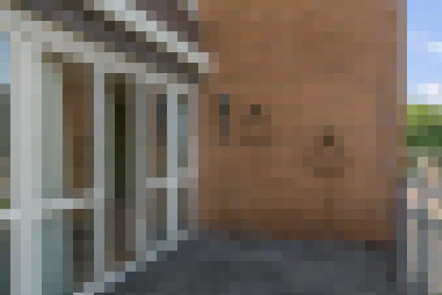 Veilingstraat 18 Nieuw-Amsterdam thumbnail 16