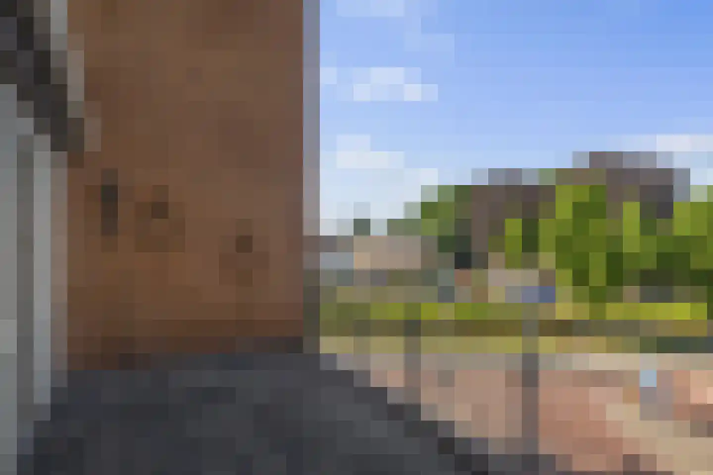 Veilingstraat 18 Nieuw-Amsterdam thumbnail 17