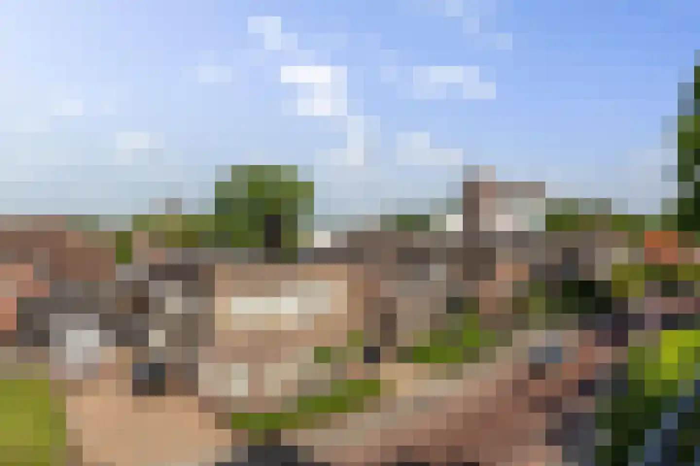 Veilingstraat 18 Nieuw-Amsterdam thumbnail 33
