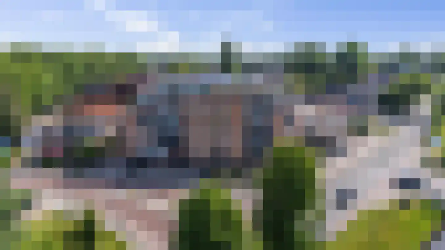 Veilingstraat 18 Nieuw-Amsterdam thumbnail 4