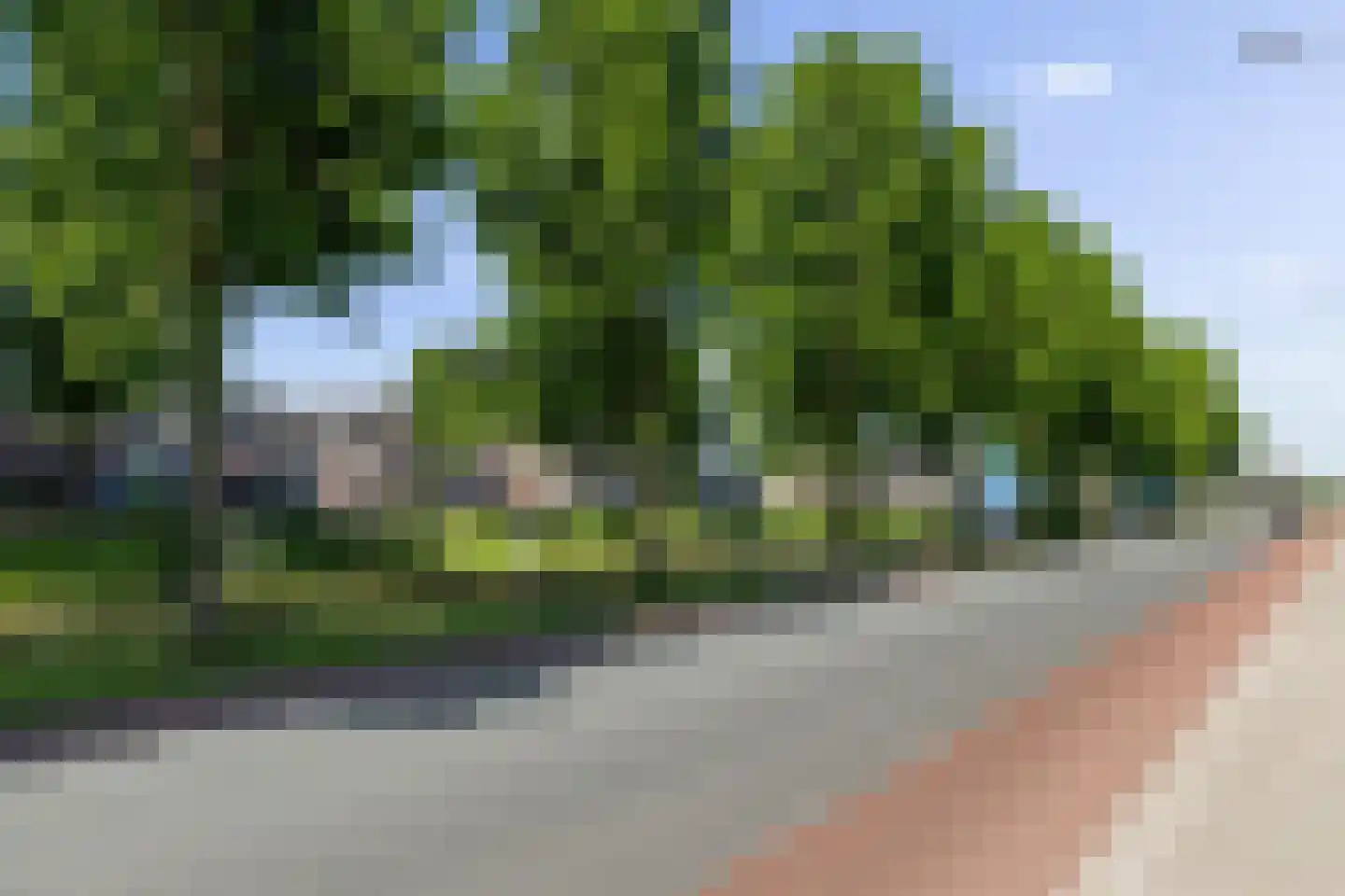 Veilingstraat 18 Nieuw-Amsterdam thumbnail 41