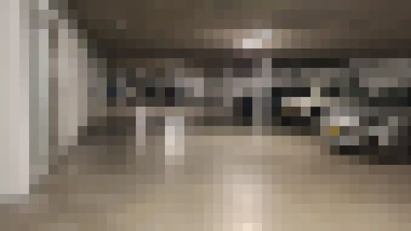 Veilingstraat 18 Nieuw-Amsterdam thumbnail 45