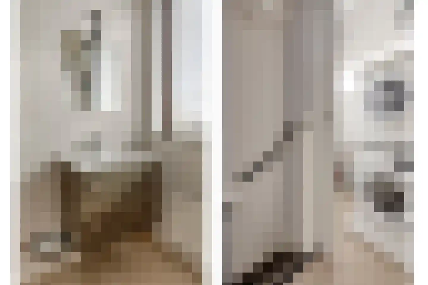 Veilingstraat 185 Uden thumbnail 25