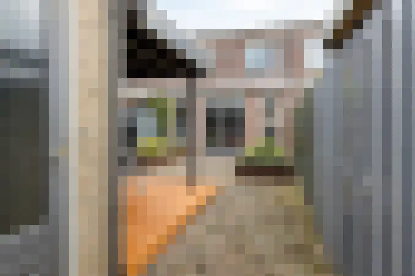 Veilingstraat 185 Uden thumbnail 33