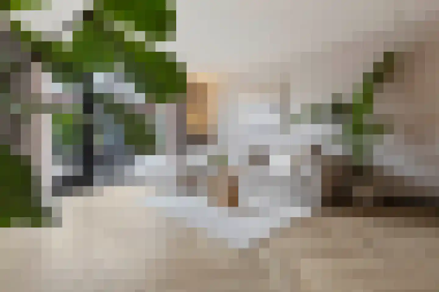 Veilingstraat 23 Venlo thumbnail 10