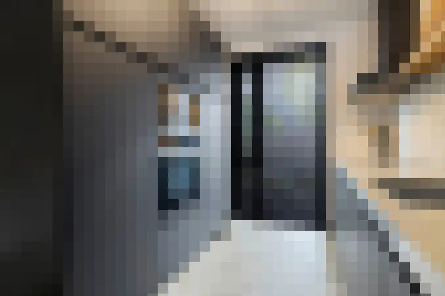 Veilingstraat 23 Venlo thumbnail 19