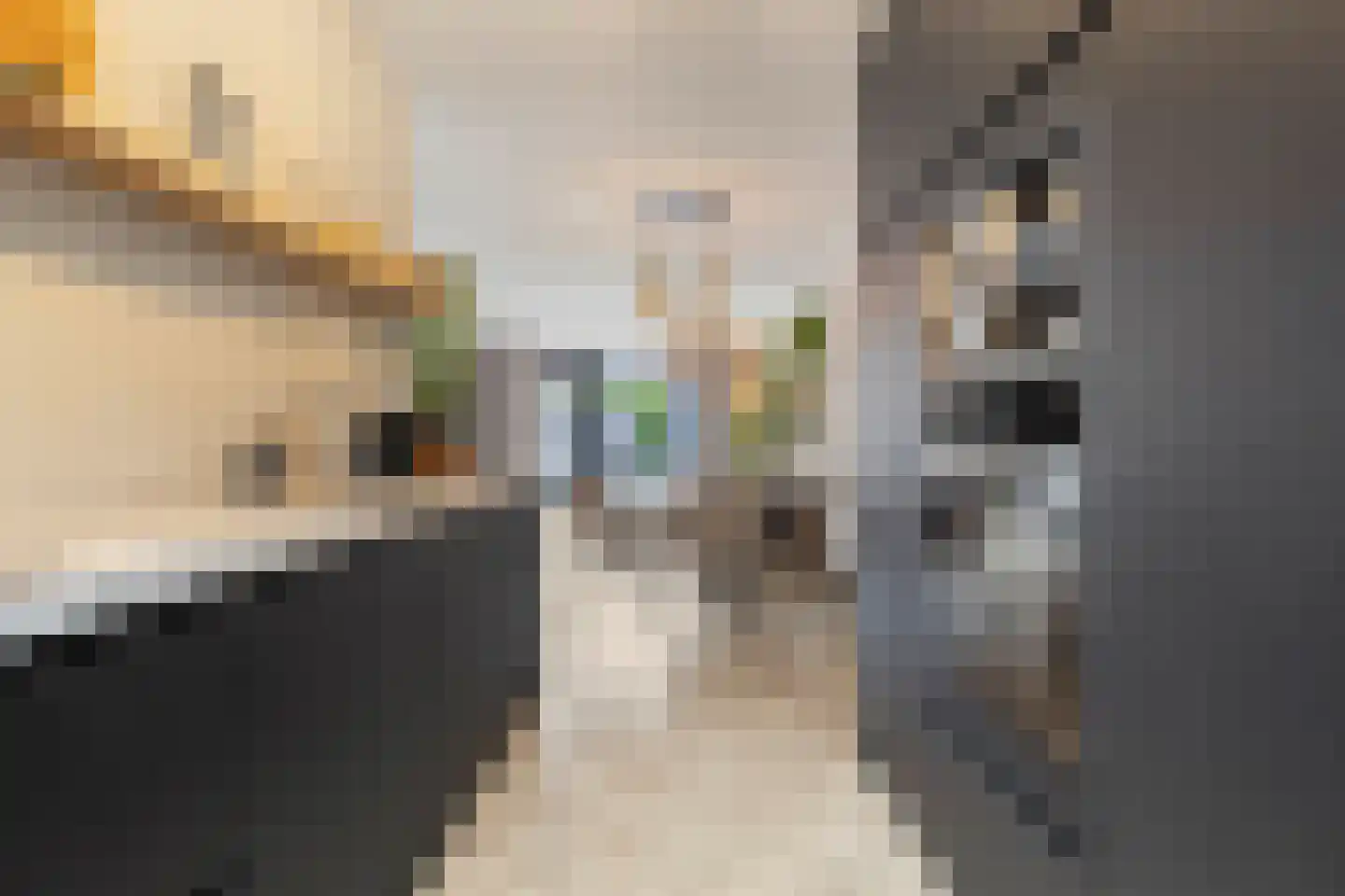 Veilingstraat 23 Venlo thumbnail 20