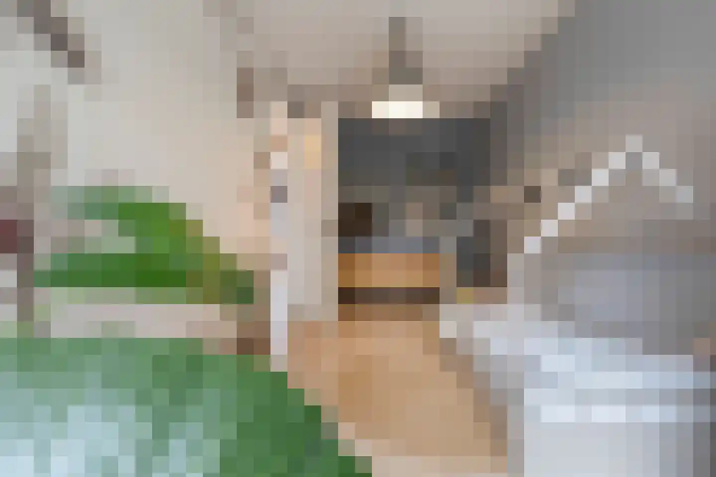Veilingstraat 23 Venlo thumbnail 30