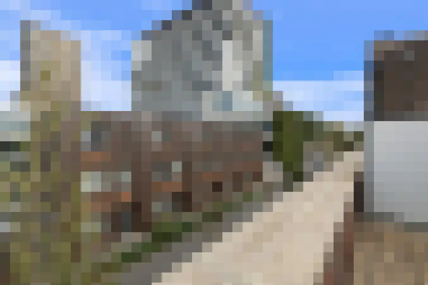Veilingstraat 23 Venlo thumbnail 39