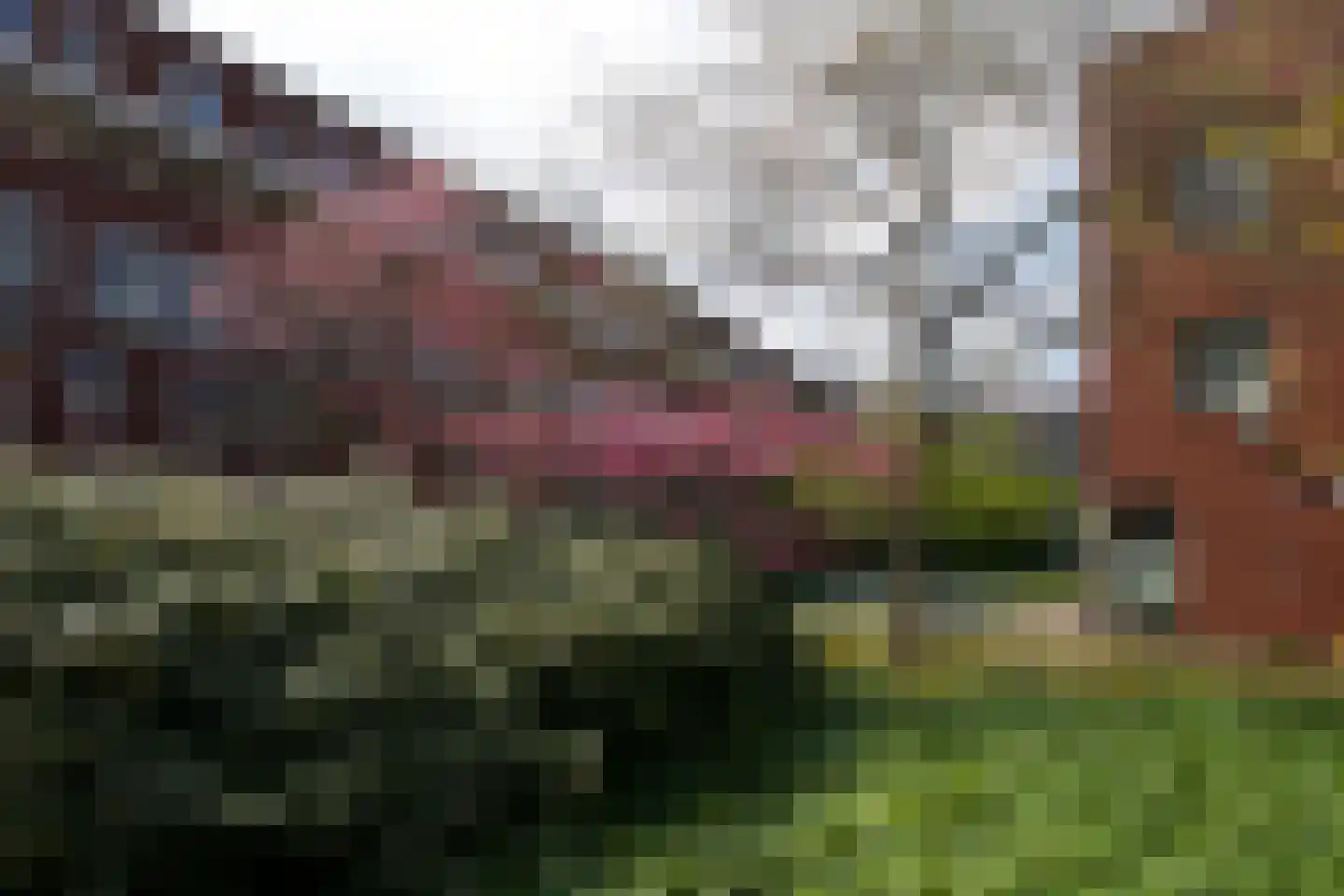 Veilingstraat 5 Utrecht thumbnail 22
