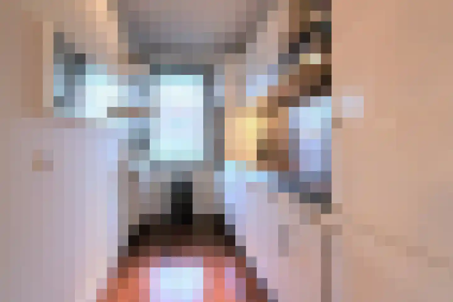 Veilingstraat 5 Utrecht thumbnail 4
