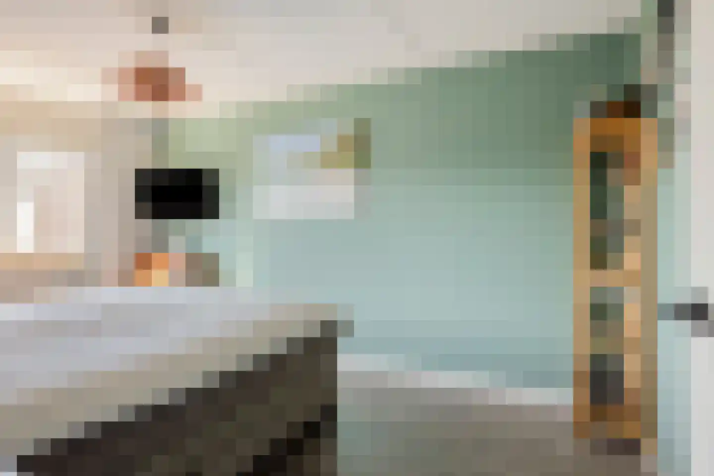 Veilingstraat 6 Pijnacker thumbnail 15