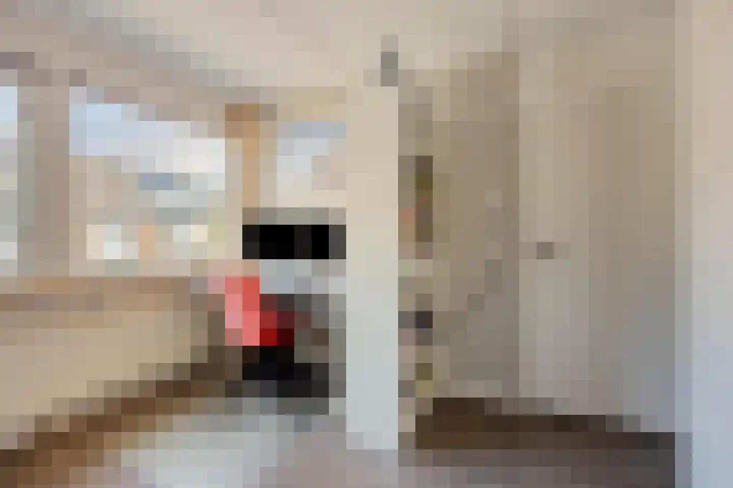 Veilingstraat 6 Pijnacker thumbnail 17