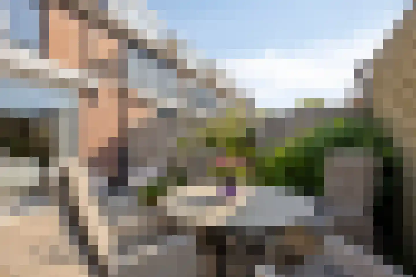 Veilingstraat 6 Pijnacker thumbnail 25