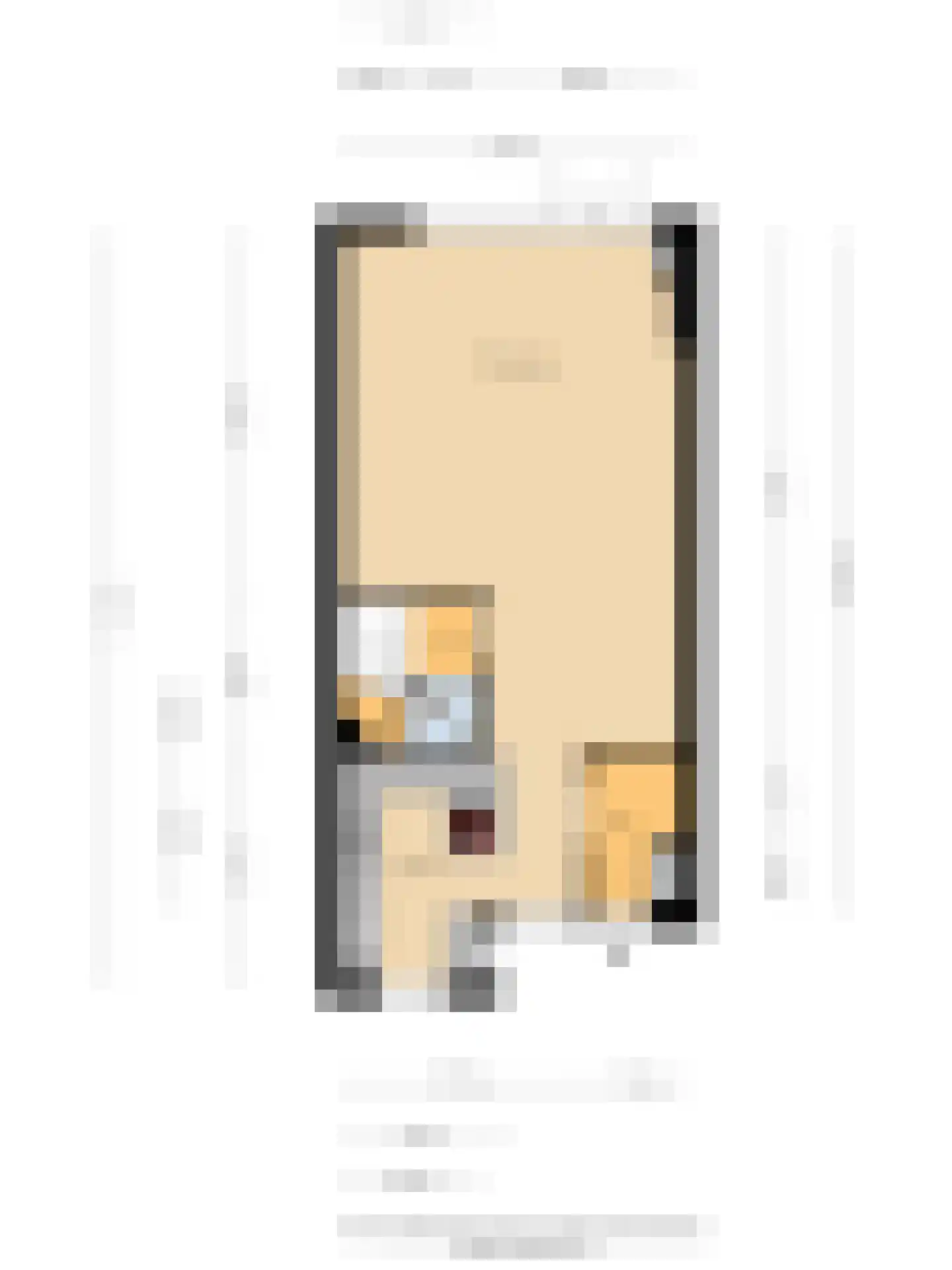 Veilingstraat 6 Pijnacker thumbnail 28