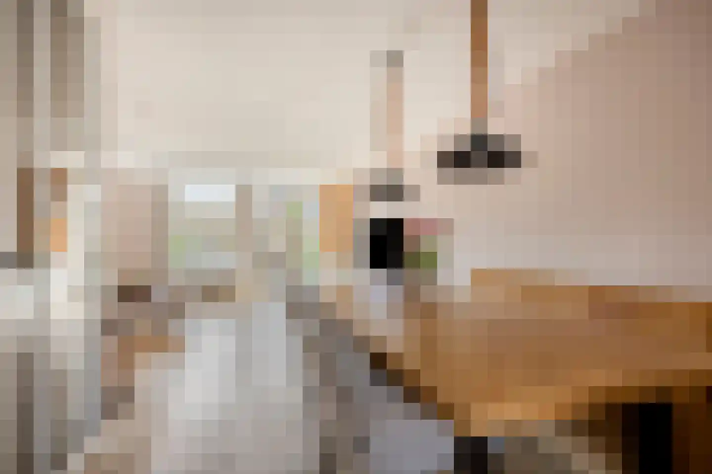 Veilingstraat 6 Pijnacker thumbnail 7