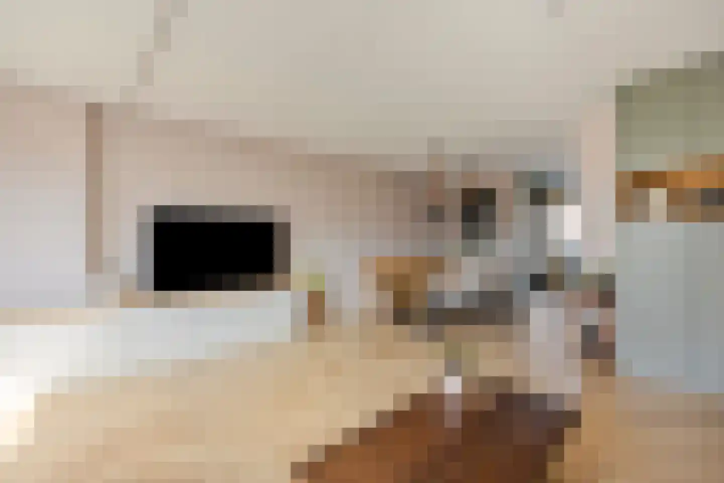 Veilingstraat 6 Pijnacker thumbnail 9