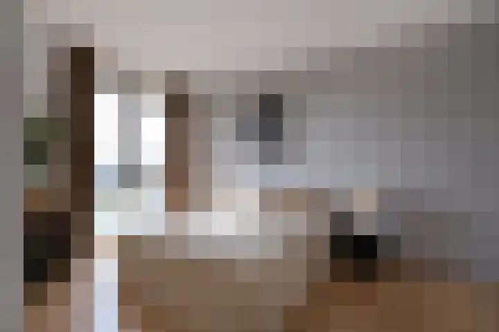 Veilingstraat 69 Utrecht thumbnail 11