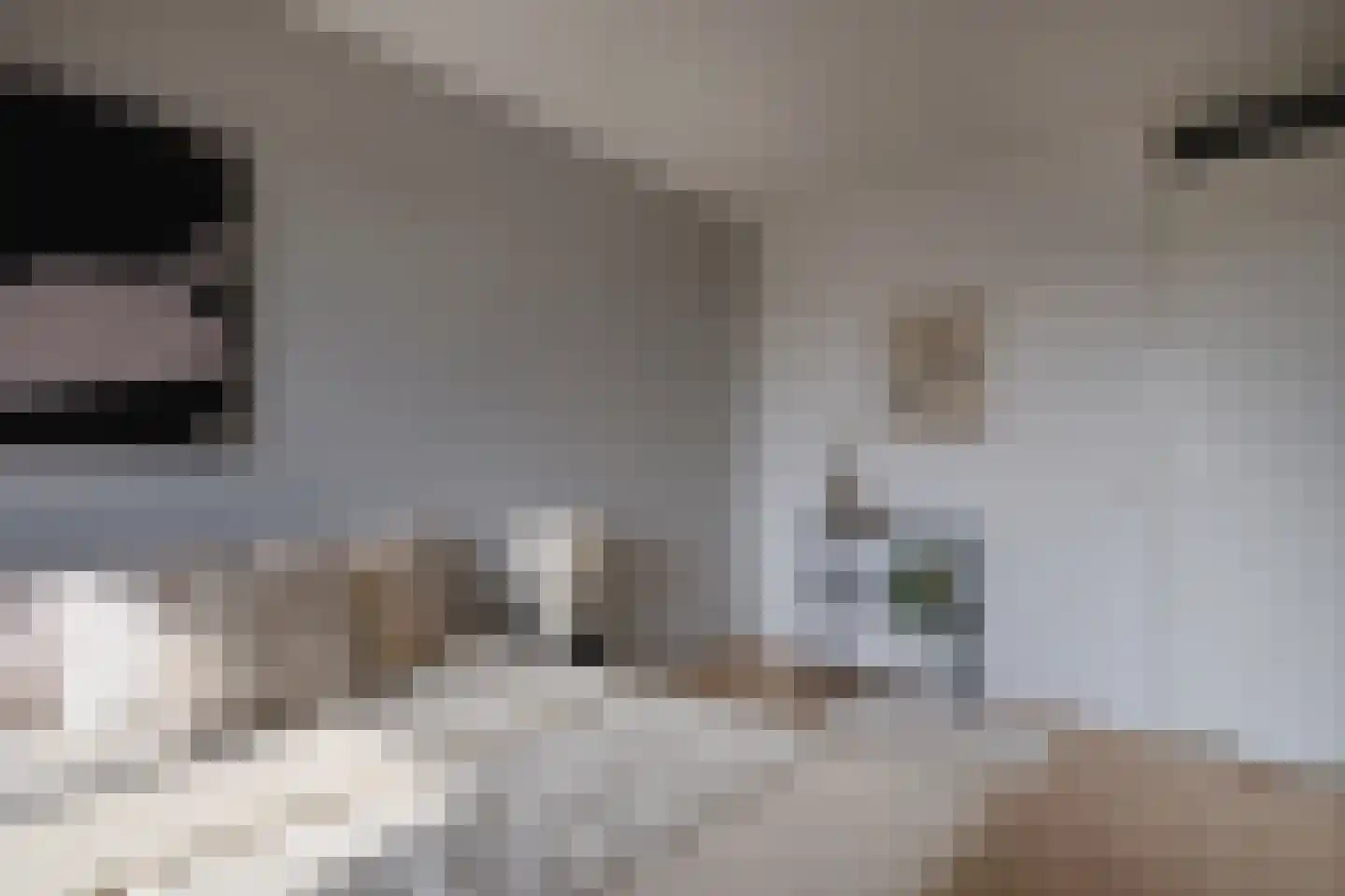 Veilingstraat 69 Utrecht thumbnail 12