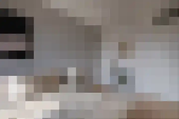 Veilingstraat 69 Utrecht thumbnail 12